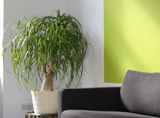 Color Coordination: All About The Details