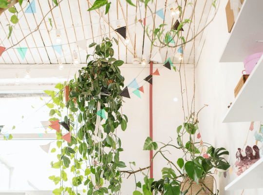 Natural Element Photography