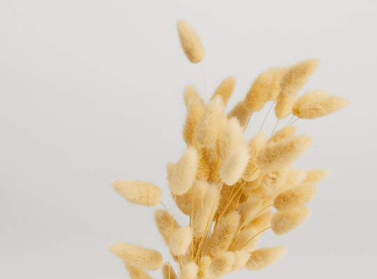 Season Change Photoshoot